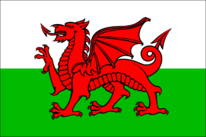 Image of the Welsh flag. A red dragon on a green and white background