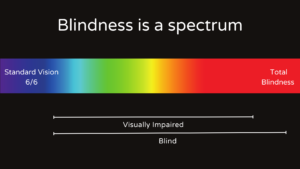 Image depicting the spectrum of blindness from standard vision to total blindness