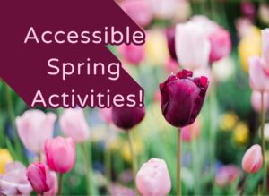 A vibrant garden with pink and purple tulips under soft sunlight. Text on left reads "Accessible Spring Activities!" in white over a dark purple banner. The graphic for an accessible guide to spring activities for blind people in the UK.